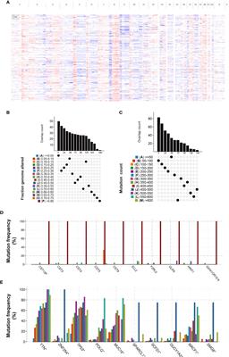 Identification of Novel Tumor Antigens and the Immune Landscapes of Bladder Cancer Patients for mRNA Vaccine Development